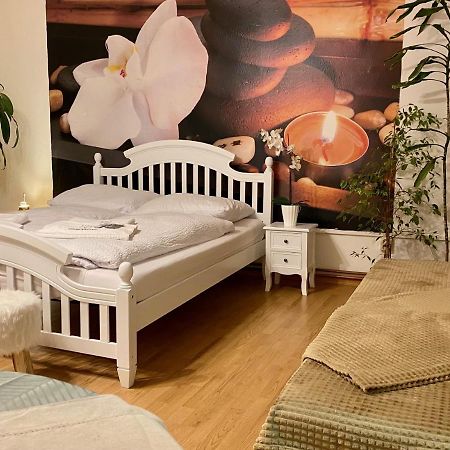 Beauty-Spa Apartment Decin Bagian luar foto