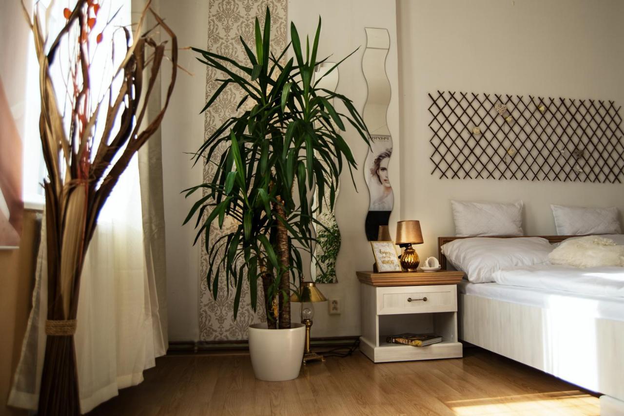 Beauty-Spa Apartment Decin Bagian luar foto