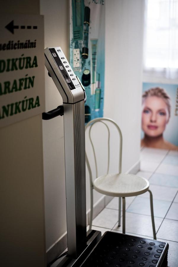 Beauty-Spa Apartment Decin Bagian luar foto