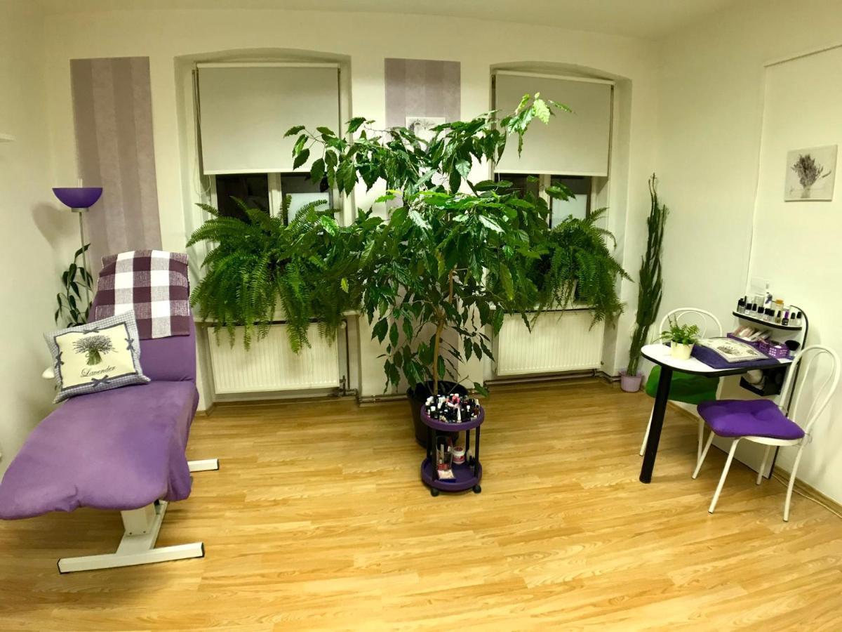 Beauty-Spa Apartment Decin Bagian luar foto